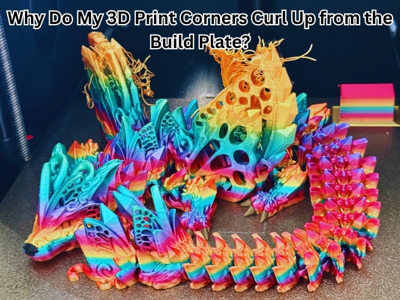 Why Do My 3D Print Corners Curl Up from the Build Plate